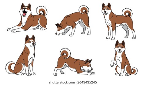 O Guia Abrangente para Akita Cachorro Raça Características Cuidado de Temperamento e Dicas de Saúde