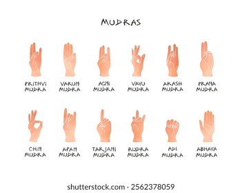 Comprehensive guide showing 12 mudra hand positions in soft peach tones. This vector banner provides drawing of mudra gestures labeled with its Sanskrit name, isolated on transparent background.