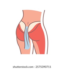 Comprehensive Icon of Gluteus Medius Muscle Anatomy