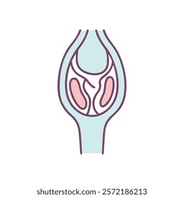 Comprehensive Icon of Patella Anatomy