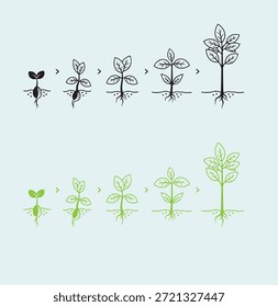 Uma ilustração abrangente mostrando os estágios evolutivos detalhados do crescimento de uma planta, desde uma semente germinante com raízes até uma muda totalmente desenvolvida com múltiplas folhas, apresentada em ambos os contornos pretos e variações verdes vibrantes, simbolizando a vida, a natureza e o desenvolvimento contínuo.