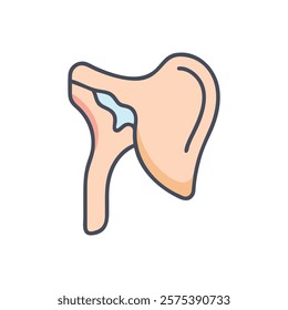 Comprehensive Illustration of Glenoid Cavity Anatomy