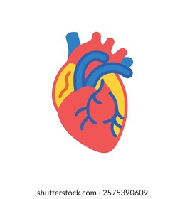 Comprehensive Illustration of Heart Anatomy