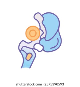 Comprehensive Illustration of Hip Joint Anatomy