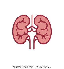 Comprehensive Illustration of Hypothalamus Anatomy