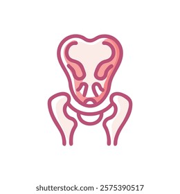 Comprehensive Illustration of Ilium Anatomy