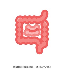 Comprehensive Illustration of Intestine Anatomy
