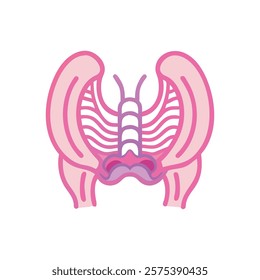 Comprehensive Illustration of Ischium Anatomy