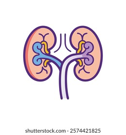 Comprehensive Illustration of Kidney Anatomy