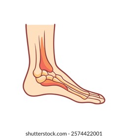 Comprehensive Illustration of Lateral Malleolus Anatomy