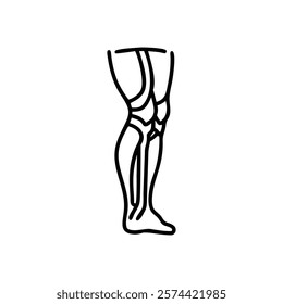 Comprehensive Illustration of Leg Anatomy
