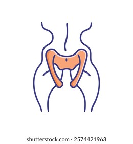 Comprehensive Illustration of Lesser Sciatic Notch Anatomy