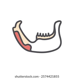 Comprehensive Illustration of Mandible Anatomy