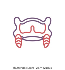 Comprehensive Illustration of Maxilla Anatomy
