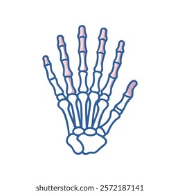 Comprehensive Illustration of Metacarpal Bones Anatomy
