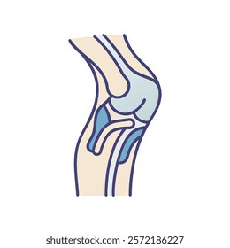 Comprehensive Illustration of Patella Anatomy