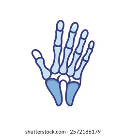 Comprehensive Illustration of Phalanges Anatomy