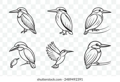 Comprehensive Kingfisher Line Art Vector Set Perfect for Artistic and Professional Use