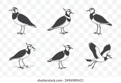 Comprehensive Lapwing Line Art Vector Set for Detailed and Versatile Designs Up to 100 Unique Illustrations