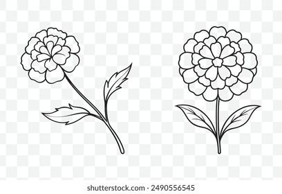 Comprehensive Marigold Line Art Vector Set Intricate Floral Illustrations for Creative Design Projects