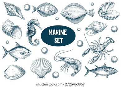 Umfassendes Set von handgezeichneten Meerestieren und Muscheln in blauer Tinte auf weißem Hintergrund