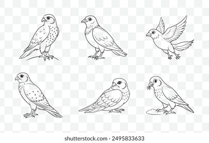 Comprehensive Merlin Line Art Vector Set Detailed Illustrations of Merlin Birds Perfect for Artistic and Design Projects