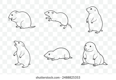 Comprehensive Mole Line Art Vector Set for Creative Projects and Illustrations