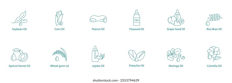Comprehensive Natural Oils Vector Icon Set: Soybean, Corn, Peanut, Flaxseed, Grape Seed, Rice Bran, Apricot Kernel, Wheat Germ, Jojoba, Pistachio, Moringa, Camellia