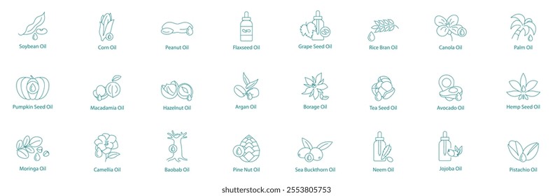 Comprehensive Natural Oils Vector Icon Set Soybean, Corn, Peanut, Flax Seed, Grape Seed, Rice Bran, Moringa, Camellia, Baobab, Pumpkin, Macadamia, Hazelnut, Argan, Borage, Tea Seed, Pine Nut, Sea Buck