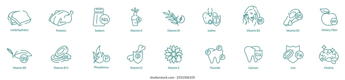 Comprehensive Nutrition Icon Set - Carbohydrates, Proteins, Sodium, A, B1, Iodine, B3, B5, Dietary Fiber, B9, B12, Phosphorus, D, E, Fluoride, Calcium, Iron, and Choline for Optimal Wellness