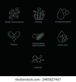 Comprehensive Nutrition Icons: Cellulose, Amino Acid, Carbohydrates Macronutrients, Vitamins, Fat Macronutrients, Minerals, Protein Macronutrients with editable stroke.