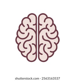 Comprehensive Overview of Corpus Callosum Anatomy