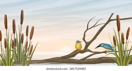 A comprehensive panorama vector template featuring bright common kingfishers on a dry branch near water with reeds under a warm sunset sky