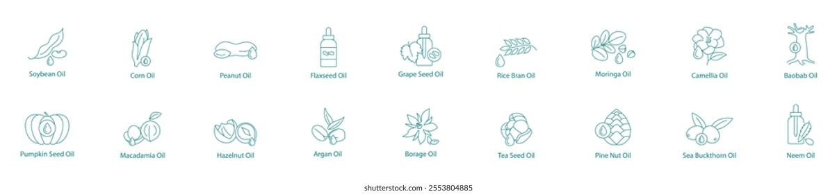 Comprehensive Plant Oils Collection Vector Icon Set Soybean, Corn, Peanut, Flaxseed, Grape Seed, Rice Bran, Moringa, Camellia, Baobab, Pumpkin, Macadamia, Hazelnut, Argan, Borage, Tea Seed, Pine Nut 