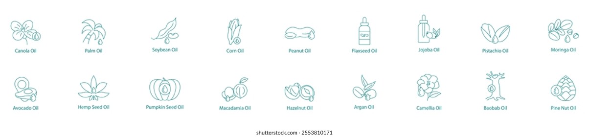 Comprehensive Plant Oils Collection Vector Icon Set Canola, Palm, Soybean, Corn, Peanut, Flax Seed, Jojoba, Pistachio, Moringa, Avocado, Hemp, Pumpkin Seed, Macadamia, Hazelnut, Argan, Camellia 