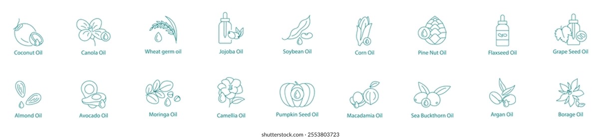 Comprehensive Plant-Based Oils Vector Icon Set: Coconut, Canola, Jojoba, Soybean, Corn, Pine Nut, Flax Seed, Grape Seed, Almond, Avocado, Moringa, Camellia, Pumpkin, Macadamia, Sea Buckthorn, Argan 