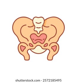 Comprehensive Sacrum Anatomy Vector Design