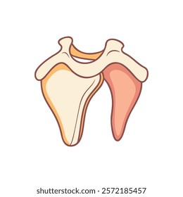 Comprehensive Scapula Anatomy Vector Icon Design