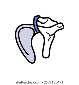 Comprehensive Scapula Anatomy Vector Icon Design