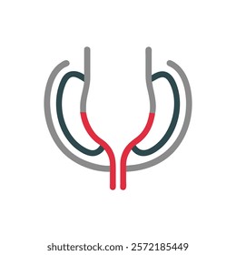 Comprehensive Semicircular Canals Anatomy Vector Design