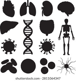 Comprehensive set of biomedical and anatomy silhouette icons including internal organs, DNA strand, viruses, cells, neurons, and the human skeletal system. Modern black vector graphics for healthcare, medical research, education, and biotechnology.