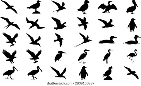 A comprehensive set of black bird icons representing maritime avian life with diverse poses suitable for branding or ecological illustration projects
