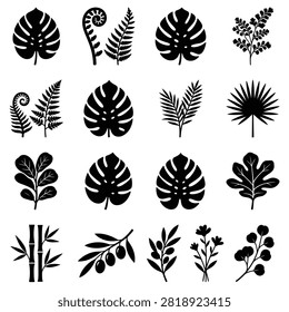 A comprehensive set of black silhouettes featuring various tropical leaves, ferns, bamboo, and olive branches, perfect for botanical illustrations and decor.