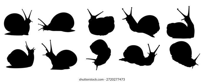 Um conjunto abrangente de silhuetas de caracol preto, perfeito como um ícone ou símbolo, exibindo várias poses de caracol de jardim, cada design de vetor isolado fornecido em um arquivo EPS de alta qualidade para fácil uso.