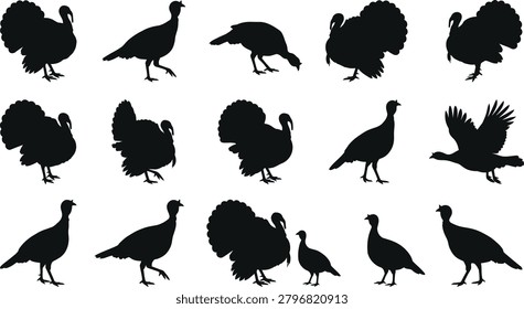 A comprehensive set of black turkey silhouettes showcasing various postures – strutting, feeding, flying, and displaying – ideal for autumn designs.