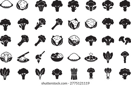 Comprehensive set of broccoli and cauliflower icons displaying various florets heads leaves harvesting bowls cooking preparation utensils and healthy organic vegetables isolated on white background.