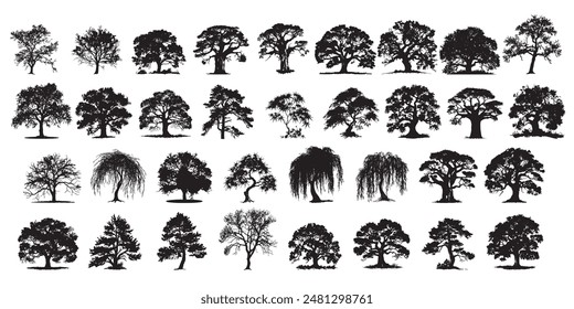 A comprehensive set features 34 unique tree silhouettes, showcasing a wide variety of tree species and shapes.