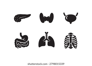 Comprehensive set of human anatomy silhouette icons featuring glandular systems and digestive organs for medicine.