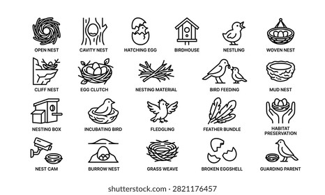 Comprehensive set of linear bird life cycle and habitat icons including nesting box incubating bird fledgling feather bundle habitat preservation nest cam burrow nest grass weave broken eggshell and guarding parent for educational materials nature study and wildlife conservation.