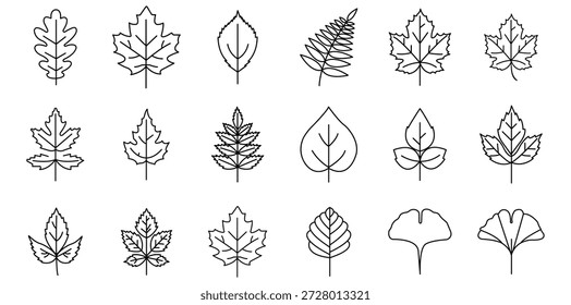 Un conjunto completo de iconos minimalistas de arte lineal que representan una amplia variedad de especies de hojas, incluyendo arce y roble. Estas ilustraciones botánicas orgánicas son perfectas para marcas ecológicas, Diseños web inspirados en la naturaleza y proyectos gráficos estacionales.